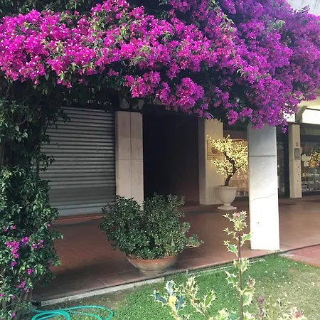 Il Parco Apartments Marina di Massa Exterior photo