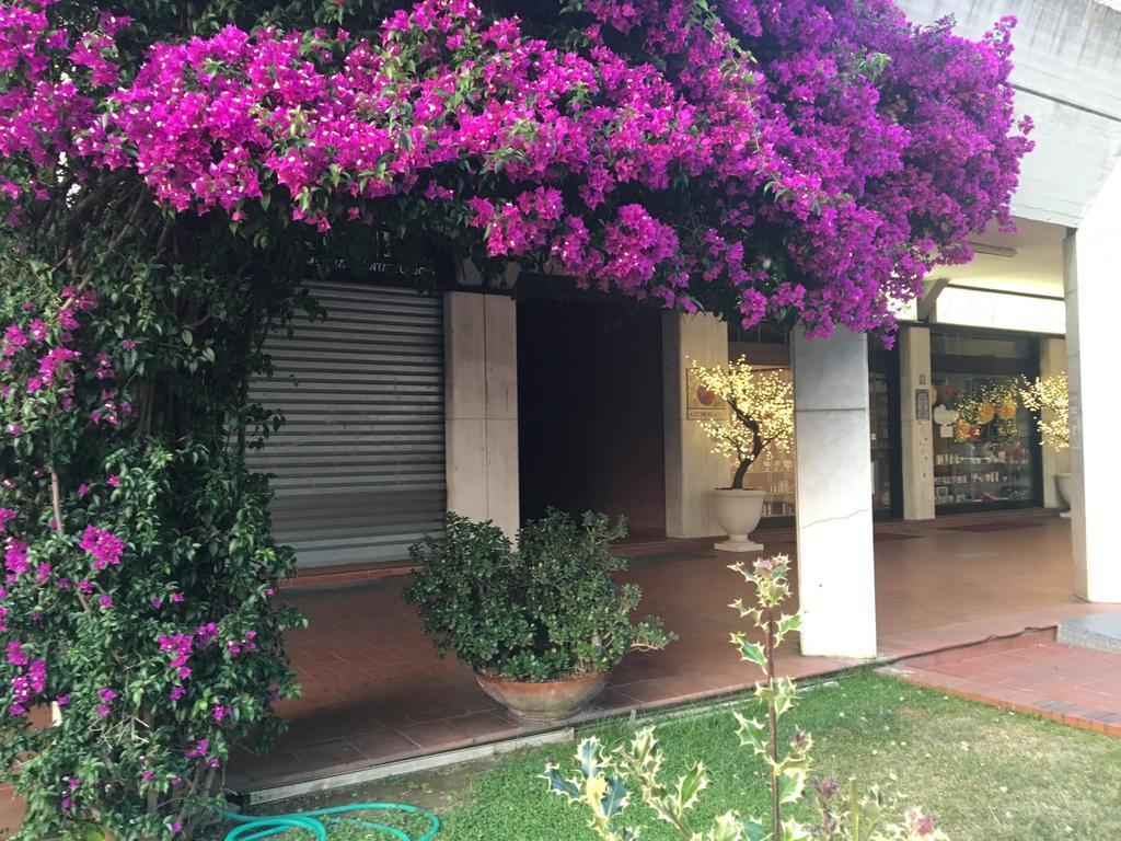 Il Parco Apartment Marina di Massa